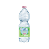 Naturwasser 0,5l